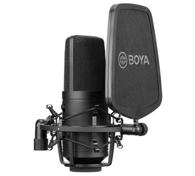 China Large Diaphragm Shock Mount BOYA BY-M800 Cardioid Condenser Microphone Cut-Off Filter Mic For Live Broadcast Vlog Video Recording Studio Mic for sale