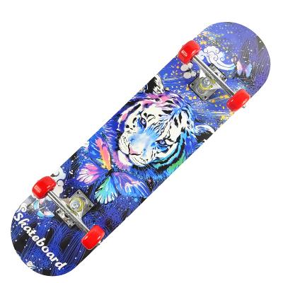 China Hot Selling Different Models Chinese Maple Aluminum Alloy PVC Wooden Skate Roll Skateboard for sale