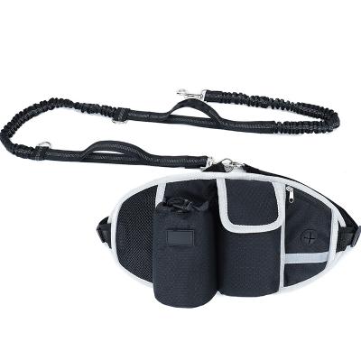 China Waterproof Outdoor Walking Waist Running Bag Sport Belt Pet Tactical Pussy Pack Sports Fits For Dog Leash for sale