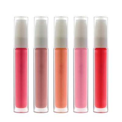 China Vegan Wholesale Waterproof Private Label Matte Lipgloss Shimmer Glitter Highlight Clear Series Lip Gloss for sale