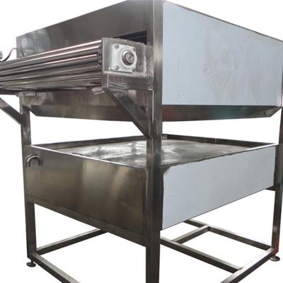 China Top Stainless Steel Manufacturer Dates Palm Cleaning Processing Line China for sale