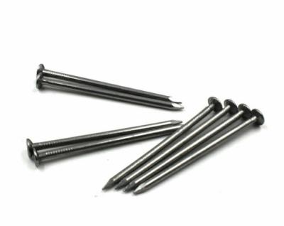 China Wholesale Q195 Umbrella Factory Price Polishing Galvanized Iron Wire Common Nails for sale