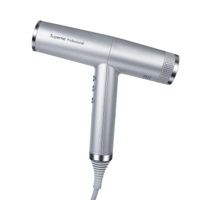 China Ionic Hair Dryer with Perfetto Unique Brushless Innovative IQ Motor Air Hair Dryer Hyper Oxy Active Gamma Hair Dryer for sale