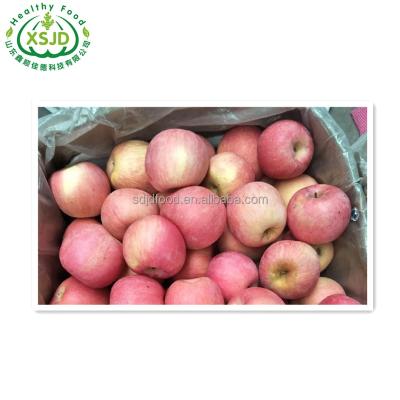 China Gala Fresh Fresh Royal Apples, Golden Delicious Apples, Red Delicious Apples For Sale for sale