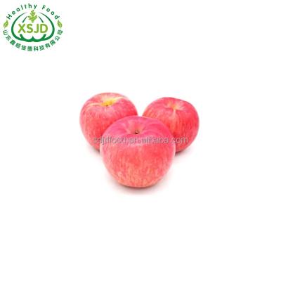 China Fuji Apple bright color of excellent fresh quality 	Fresh Red Apple Pome Fruit 100% Natural for sale