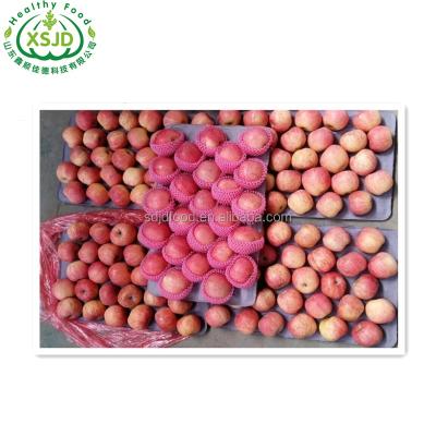 China Culture of China Fuji Apple 2020 red fresh fresh new 	Fresh Red Apple Pome Fruit 100% Natural for sale