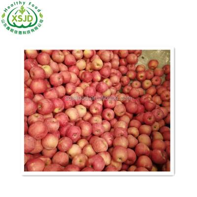 China Fresh apple fruit fresh red delicious apples 	Fresh Red Apple Pome Fruit 100% Natural for sale