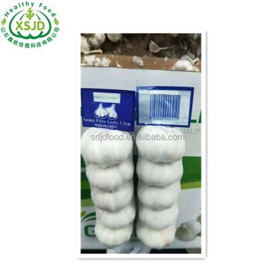 China Supplier 5.5cm Factory Wholesale Fresh Garlic Pure White Garlic for sale