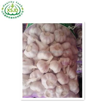 China Fresh ship by reefer container 1x40fcl white garlic 10kgs 5.5cm with pallet for export for sale