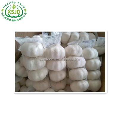 China 2021 New Culture Fresh Garlic China Wholesale Fresh Garlic Supermarket for sale