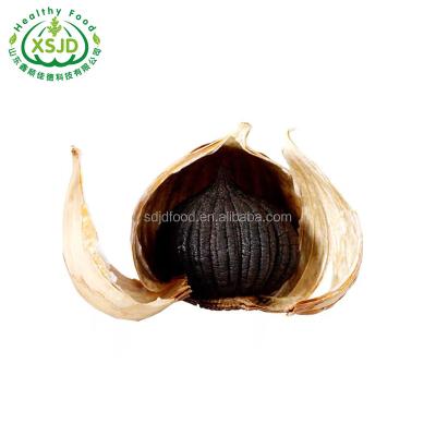 China Fresh Health Herb Aged Black Garlic Natural Food Fresh Black Garlic Liliaceous Vegetabless for sale