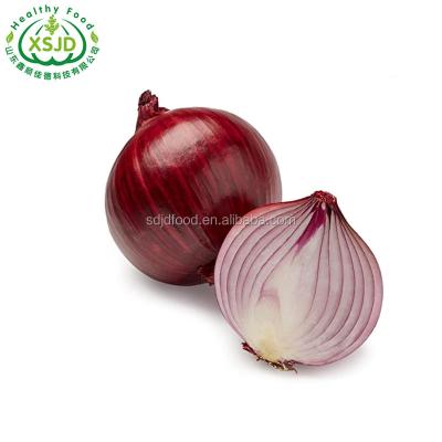 China Fresh high quality red fresh onion bags at export price for sale