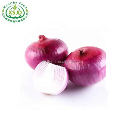 China Wholesale Fresh Fresh Chinese Onion With Best Price Liliaceous Vegetabless Fresh Red Onion for sale