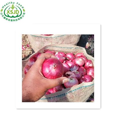 China World Red Onion Fresh Onion Manufacturer Hot Sale Many Years Liliaceous Vegetabless Fresh Red Onion for sale