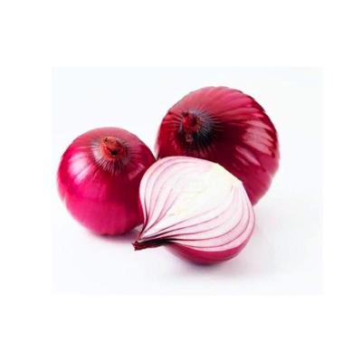 China Fresh Chinese fresh onion red onions export high quality new crop Liliaceous Vegetabless Fresh Red Onion for sale