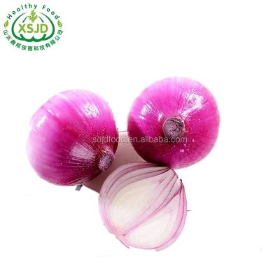 China bulk fresh fresh onion cheap red/yellow onions for sale Liliaceous Vegetabless Fresh Red Onion for sale