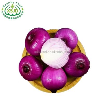 China Lowest Price Fresh Fresh Red Onion/Yellow Onion/White Onion - Top Rated for sale