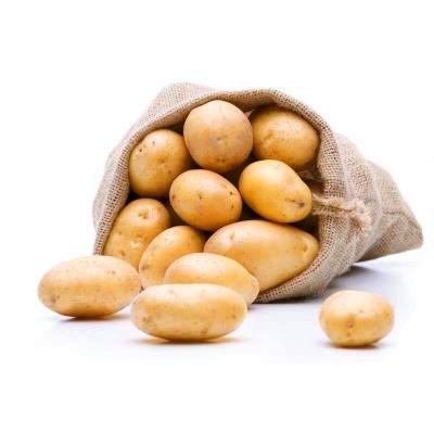 China 100% Export Quality Fresh Potato Atlantic Potato Fresh Sweet Potatoes Bright Yellow Flesh for sale