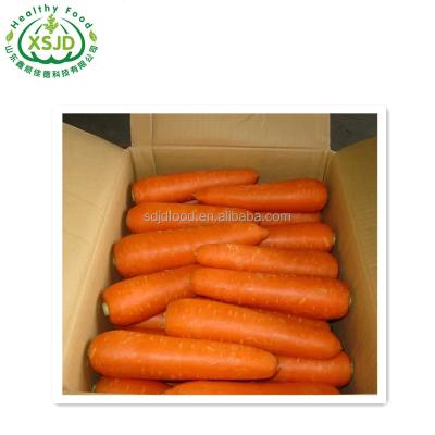 China Fresh fresh carrots for sale non-peeled carrots Fresh Organic Carrots Umbelliferous Vegetabless for sale