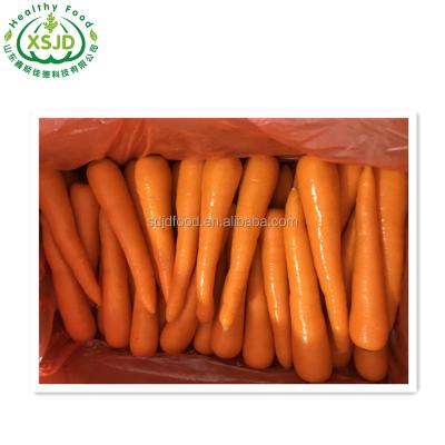 China 2021 fresh chinese fresh carrots Fresh Organic Carrots Umbelliferous Vegetabless for sale