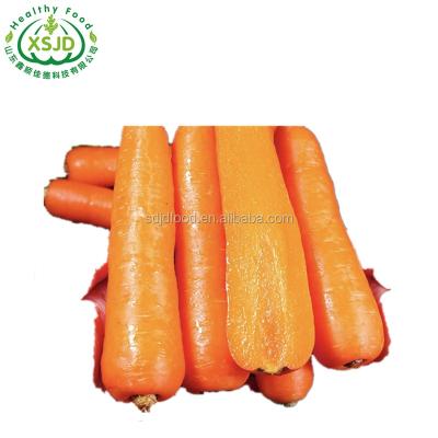 China 2021 Fresh Fresh Chinese Carrots / New Culture Carrots Full Of Vitamin C Carrot for sale