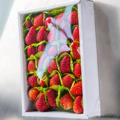 China Food Boxed Strawberry PackaginSmall Cling Film Packaging Tray Wrapper Semi Automatic Vegetable Stretch Film Packaging Machine for sale