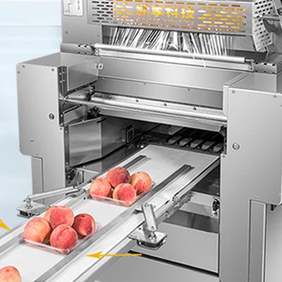 China vegetable & Automatic Fruit Pallet Wrapping Machine Pallet Stretch Wrapper for sale