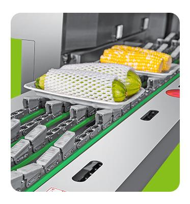 China vegetable & automatic fruit corn and other vegetables preservative film packaging machine for sale