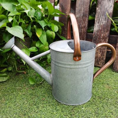 China Hot Selling DIY Galvanized Metal Watering Can, 1 Gallon Watering Can for Outdoor Indoor House Garden Plants for sale