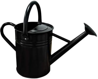 China Hot Sale Galvanized Metal Watering Can 1 Gallon Watering Pot For House Outdoor Indoor Garden Plants for sale