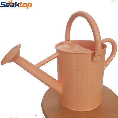 China Garden Watering Tools Hot Sale Garden Metal Watering Can Watering Kettle for sale