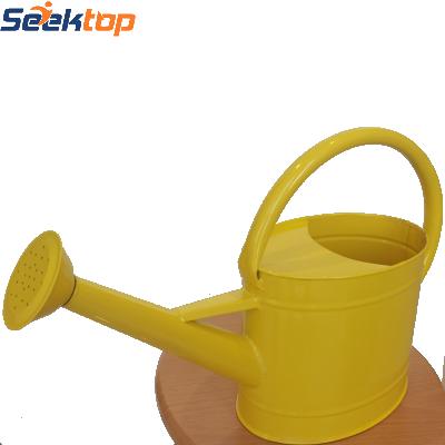 China Hot Sale Metal Garden Metal Watering Can Flower Watering Kettle With Removable Spout for sale