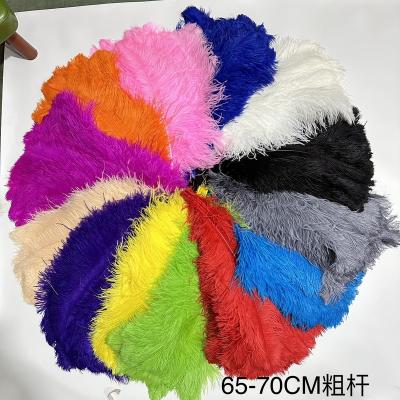 China Decorations Cheap Sale 26-28 Inch White And Colorful Big Pole Ostrich Feathers For Party Wedding Stage Decoration Jacket Jewelry for sale