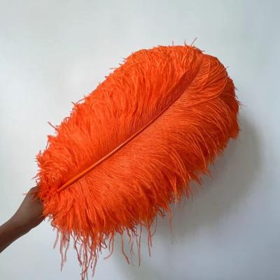 China Decorations 75-80CM Wedding Party Home Decor 75-80cm 30-32 Inches Thick Rod Natural Large Ostrich Plume Feathers for sale