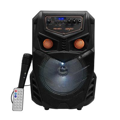 China New and creative 8 inch professional wireless audio speaker speaker PSD-8001 with USB port for singer for sale