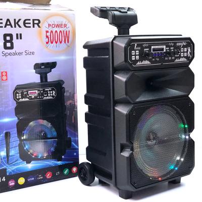 China No Amazon Speaker DS-1814 Hot Selling Large Karaoke Speaker for sale