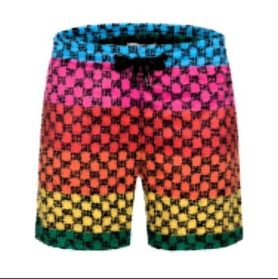 China Anti-wrinkle summer wholesale good quality clothing breathable luxury shorts plus size men's fashion shorts for sale