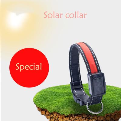 China Lights Up Power LED Rechargeable Solar Panel USB Solar Panel Reflective Flashing Dog Collar for sale