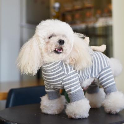 China Super Absorbent High Quality Dog Bathrobe Dog Pet Clothes Clothing Teddy Bichon Clothes Autumn And Winter For Cat for sale