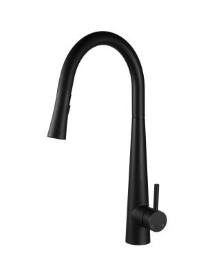 China Modern Design Matt Black Pull Down Kitchen Sink Faucet With Single Handle for sale