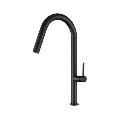 China Modern Luxury Pull Down Faucet Hot And Cold Kitchen Sink Faucet Faucet With Black Style for sale