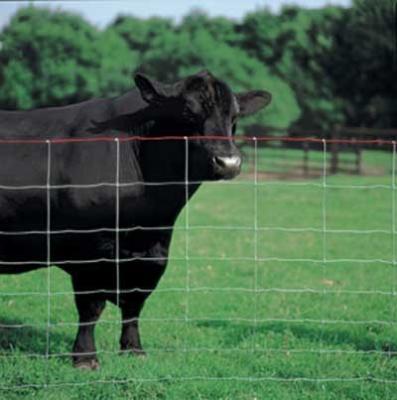 China Ranch Fence for sale