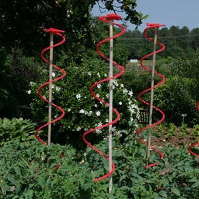 China Tomato Spiral Stake,steel wire for sale