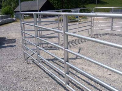 China Livestock Fencing for sale