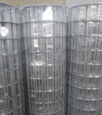 China Hot-dipped Galvanized Welded Wire Mesh   3