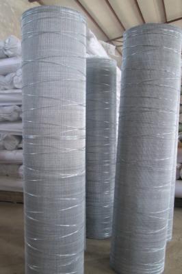 China Electro Galv. Wire Mesh-Cut Border for sale