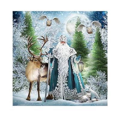 China Best Environmental Diamond Painting Kits Newcomer Santa Claus Elk Embroidery Cross Stitch Dotz Materials and Art for Home for sale