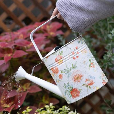 China Environmental Friendly Vintage Metal Shower Kettle Watering Can Plant Tool Metal Garden Watering Supplies, Water Cans Designs Steel Garden White for sale