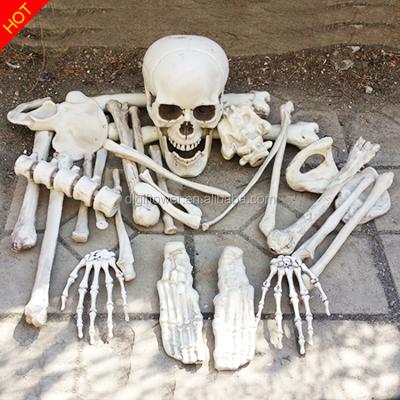 China Halloween Party Halloween Skeleton Bones, Set Of 28pcs Plastic Normal Bones In A Bag Mash Life Size Bones for sale