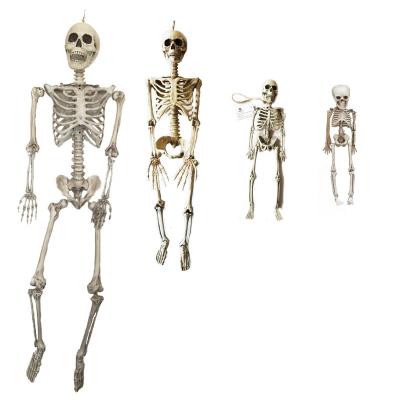 China Halloween Skeleton Halloween Part 4 Different Size, Skeleton 30cm Large 90cm 40cm Plastic Normal Joint for sale